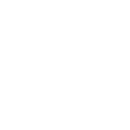 white facebook logo