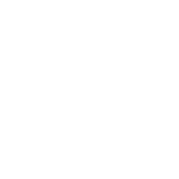 white phone logo